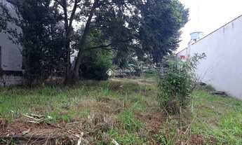 Imagem 3: NOVO HAMBURGO - Terreno Padrão - Canudos