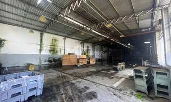 Imagem 6: Galpão Manaus - 5.000 m² - Morro da Liberdade - GGV31