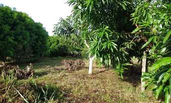 Imagem: Vende- chácara