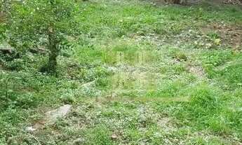 Imagem 2: Imóvel na rua Belo Horizonte