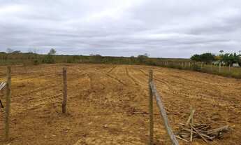 Imagem: Tarefas em Água Fria