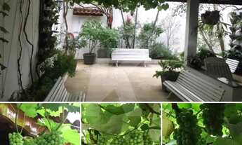 Imagem 4: Sobrado na Vila Maria, 03 suítes