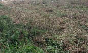 Imagem 3: Locação de área para plantio