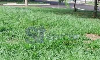 Imagem 4: Venda de Terreno / Condomínio na cidade de Araraquara