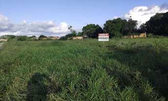 Imagem 5: Dois terrenos, esquina e outro ao lado, na Volta ,em Amélia Rodrigues-Ba