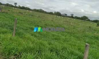 Imagem 2: FAZENDA À VENDA - 113 HECTARES - MORRO DA GARÇA (MG