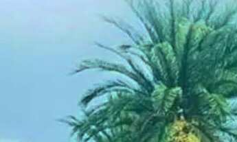 Imagem: Terreno à venda, 800 m² por R$ 400.000