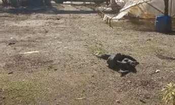 Imagem 6: Vendo em área comercial