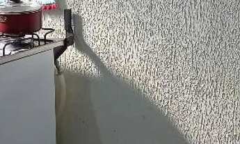 Imagem 3: Vendo casa com árvores frutíferas