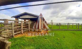 Imagem 2: FAZENDA - MARECHAL CANDIDO RONDON - PR