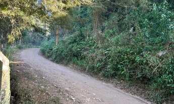 Imagem 6: Chácara com Lago Particular - ACEITO PROPOSTA