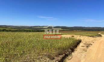 Imagem 5: Fazenda em Pires do Rio - GO. 115 Alqueires