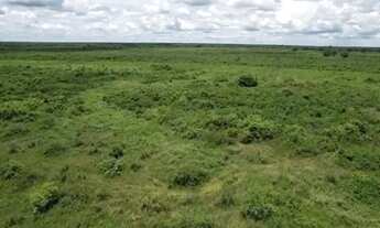 Imagem 7: VENDO FAZENDA PANTANAL POCONÉ 4.263 HAC