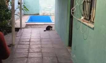 Imagem 3: Vendo casa colonial com piscina ,1 quarto , espaço para fazer outro quarto , quintal,Nilóp