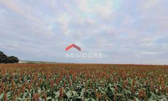 Imagem 2: Sítio em Área Rural de Monte Mor - Área Rural de Monte Mor - Monte Mor/SP