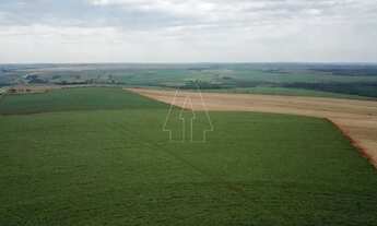 Imagem 2: Fazenda à Venda 406 alq - Próxima a Araraquara - SP