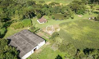 Imagem 3: Sítio com 10 Alqueires a 30 Min de Curitiba Estrutura Completa e 90% Mecanizável