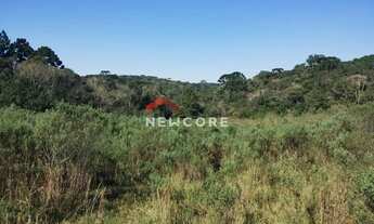 Imagem: Chácara em Rua João Bortolan - Colônia