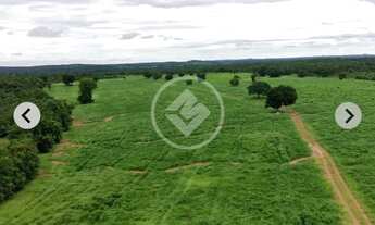 Imagem 5: Linda propriedade em Jangada MT a venda, com 250 hectares, terra de primeira! Próximo da c