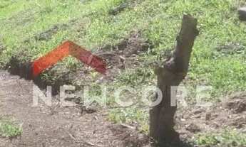 Imagem 7: Casa de condomínio em Rua Serra dos Carajás - Rio Abaixo - Mairiporã/SP