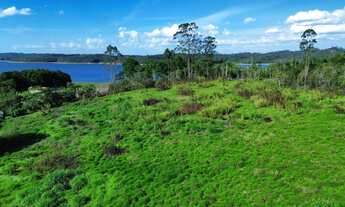 Imagem 2: 2 terrenos á venda com 100.000m² e acesso a represa em Taiaçupeba