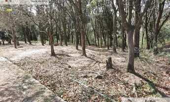 Imagem 5: Fazenda 24 Alqueires - Brigadeiro Tobias- Área Urbana