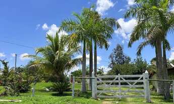 Imagem 5: Sítio muito bem planejado