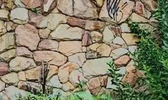 Imagem: Casa com 4 quartos para alugar em Belo Horizonte