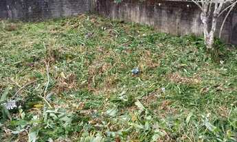 Imagem 3: Terreno 377mts Itanhaém SP Lado praia