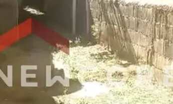 Imagem 2: Lote em Avenida Inácio Marquês Siqueira - Dom Pedro I - São José da Lapa/MG