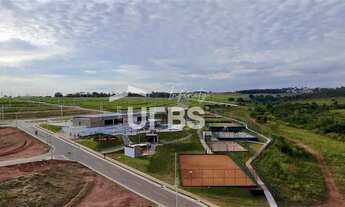 Imagem 5: VINHAS FLAMBOYANT