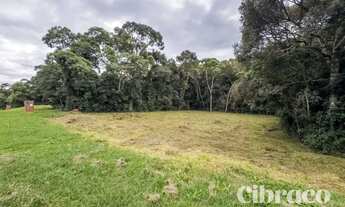 Imagem 7: Terreno com 2918,85m² em Pinhais/PR - Condomínio Verdespaço