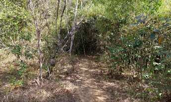 Imagem 7: Chácara com rancho e córrego no fundo em Cromínia!