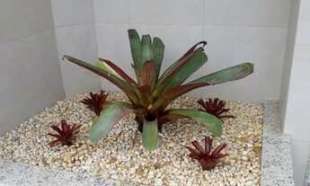 Imagem 7: Apartamento para alugar em ubá-mg