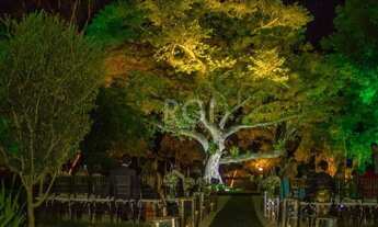 Imagem 5: Porto Alegre - Terreno Padrão - Belém Novo