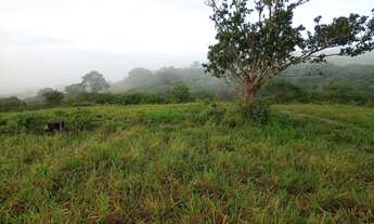 Imagem 3: Fazenda 37ha - Cachoeira Perene