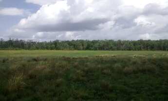 Imagem 4: Chácara à venda, Tracuateua, Bragança, PA