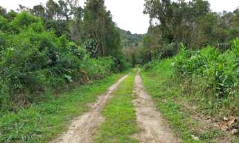 Imagem 2: Vendo oito Chácaras em Paraty