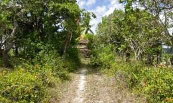 Imagem 6: Fazenda/Sítio/Chácara para venda 2 Alqueires com plantio de café e pomar com casa para m