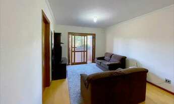 Imagem 5: GRAMADO - Padrão - Floresta