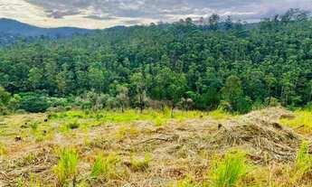 Imagem 5: Terreno de 600m² e 1000m²