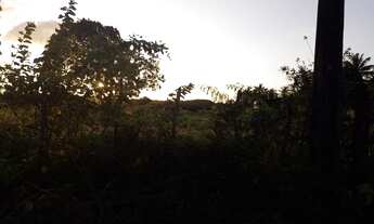 Imagem 6: Vende se terreno no Povoado Comum Extremoz Rn