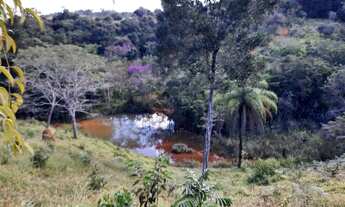 Imagem 2: Terreno 4 hectares com nascente dentro do terreno , lagoa , rico em água