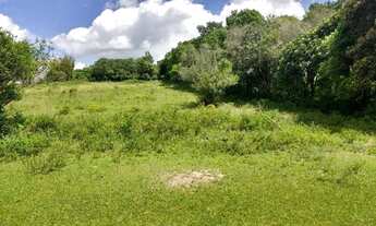 Imagem 4: Sítio de 3600m2