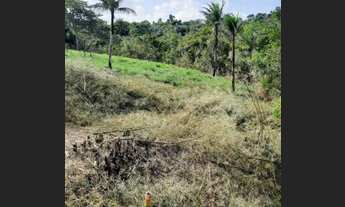 Imagem 6: Fazenda Nazaré das Farinha otima localizacao