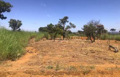 Imagem 8: Lote/Terreno para venda tem 400 metros quadrados em Ponte Alta Norte - Brasília - DF