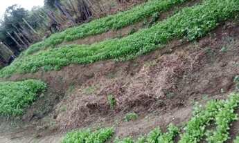 Imagem 3: V) Vende-se Fazenda próximo a Itajuípe