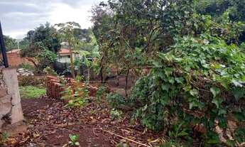 Imagem 5: Sao Carlos - Casa Padrão - Centro