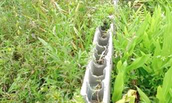 Imagem 2: Terreno 10x30 litoral Sul