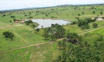 Imagem 7: Fazenda em Cocalinho